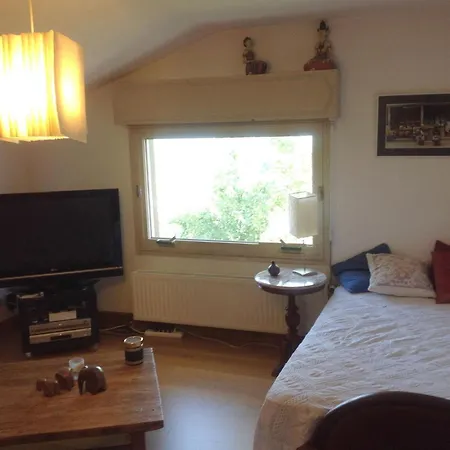 Le chalet familiale Sevrier Hébergement de vacances Sévrier